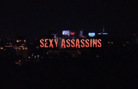 Sexy Assassins (2012)