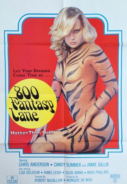 800 Fantasy Lane (1979)