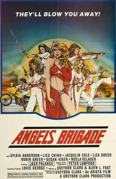 Angels Brigade (1979)