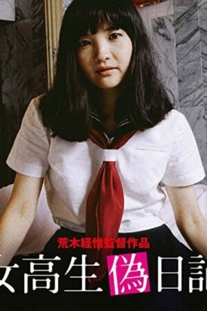High School Girls Fake Diary (1981) High School Girls Fake Diary (1981)