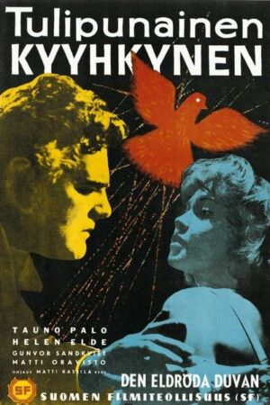 The Scarlet Dove (1961) The Scarlet Dove (1961)