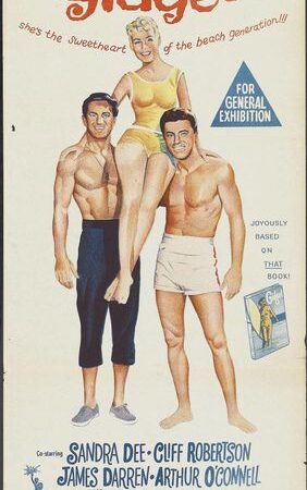 Gidget (1959) Gidget (1959)