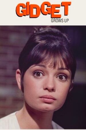 Gidget Grows Up (1969) Gidget Grows Up (1969)