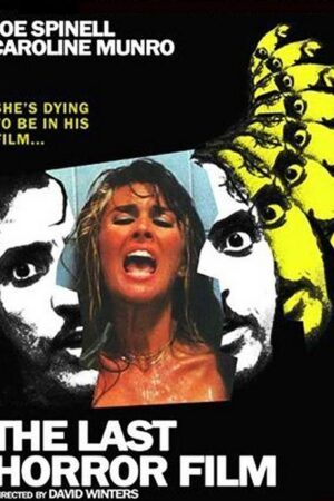The Last Horror Film (1982)