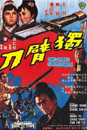 The One Armed Swordsman (1967) The One Armed Swordsman (1967)
