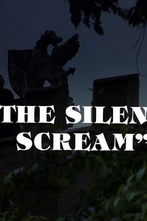The Silent Scream (1980)