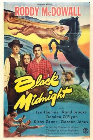 Black Midnight (1949)