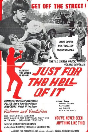 Just for the Hell of It (1968)