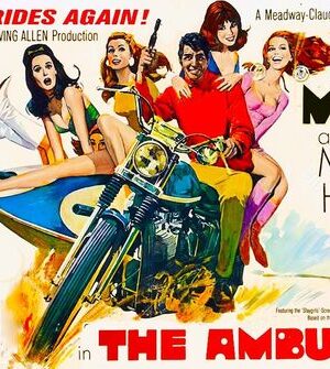 The Ambushers (1967)